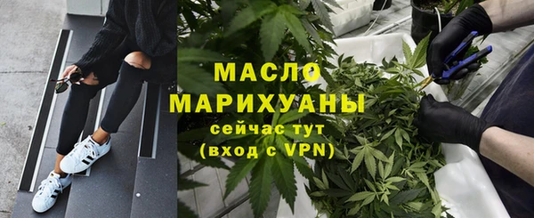сатива Каменск-Шахтинский